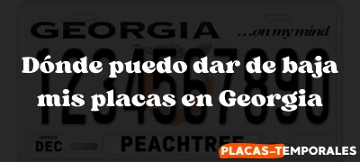 Conozca Dónde puedo dar de baja mis placas en Georgia