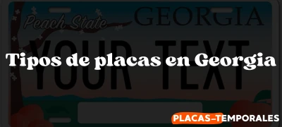 Conozca los Tipos de placas en Georgia