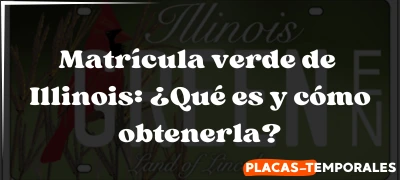Matrícula verde de Illinois: Qué es y cómo obtenerla